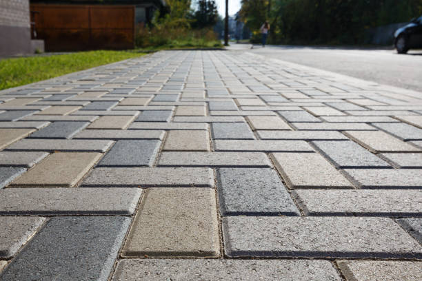 Best Driveway Repair Near Me  in Cavalier, ND
