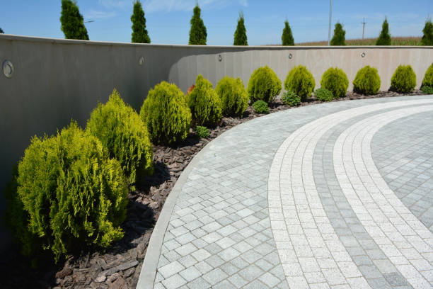 Best Decorative Driveway Pavers  in Cavalier, ND