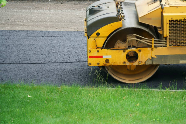 Best Custom Driveway Pavers  in Cavalier, ND